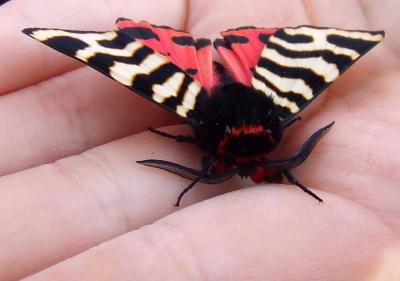 Прикрепленное изображение: 404.jpg